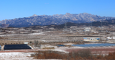 一方净土，莓园深处